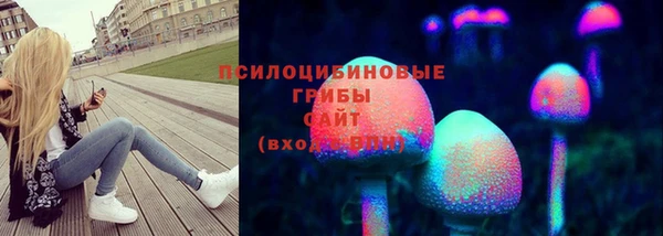 мяу мяу мука Магадан