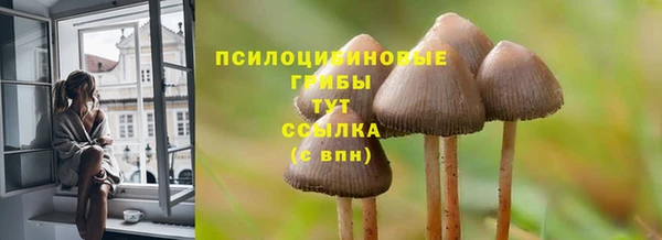 мяу мяу мука Магадан