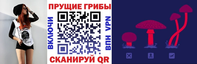 Галлюциногенные грибы прущие грибы Купить закладки Калининград